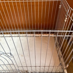 犬　ゲージ　おまけ付きの画像