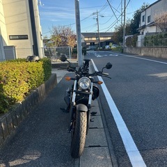 レブル250の画像