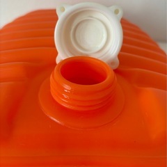 差し上げます♡立つ湯たんぽ　の画像