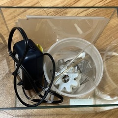 メダカ　水槽一式の画像