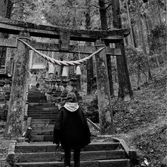 お取引中。レディース衣類の画像