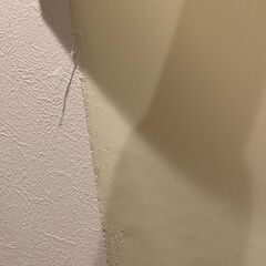 ジアス　ロールカーテンの画像