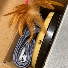 【猫壱】キャッチミーイフユーキャン2の画像