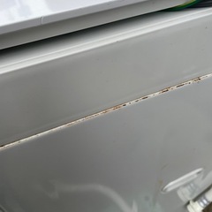 TWINBIRD 縦型 全自動電気洗濯機 5.5kg WM-EC55の画像