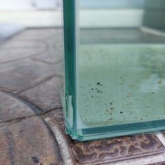 コトブキ30㎝キューブ水槽+GEX照明POWERⅢの画像