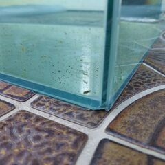 コトブキ30㎝キューブ水槽+GEX照明POWERⅢの画像