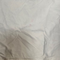 SHIEN。Tシャツ、L、13番の画像