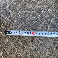 投網、大の画像