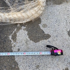 投網、大の画像