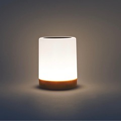 フライングタイガー　セット　ライト　クッション　の画像