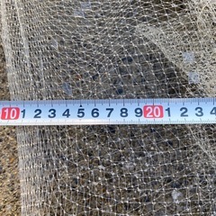 投網、小の画像