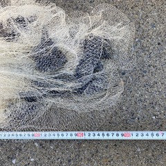 投網、小の画像