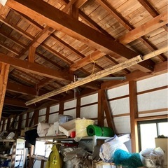 竹、木などの画像