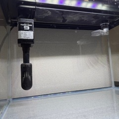 60cm 水槽　全部セット　ヒーター　濾過　ライト　ラックの画像