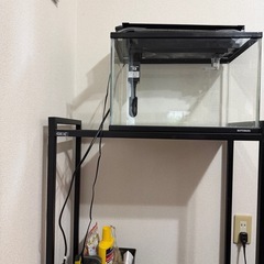 60cm 水槽　全部セット　ヒーター　濾過　ライト　ラックの画像