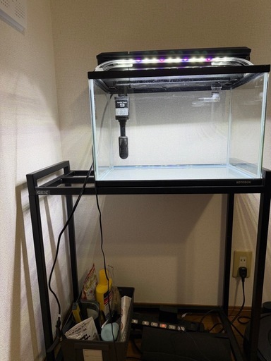 60cm 水槽　全部セット　ヒーター　濾過　ライト　ラック