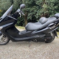 マジェスティー125 キャブ車 23,763kmの画像