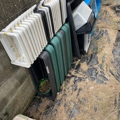 メダカ飼育容器の画像