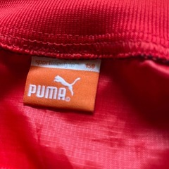 150サイズ　ウインドブレーカー　上下　の画像