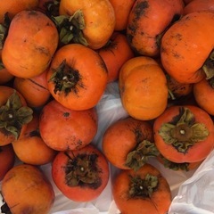 柿｡ﾟ(ﾟ´ω`ﾟ)ﾟ｡ 今期最後ですの画像