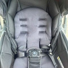 𝗔𝗽𝗿𝗶𝗰𝗮の画像