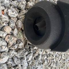 シグナスの画像