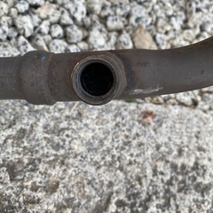 シグナスの画像