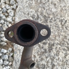 シグナスの画像