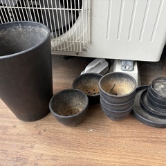 お話中【ガーデニング】観葉植物＋植木鉢＋土セットの画像