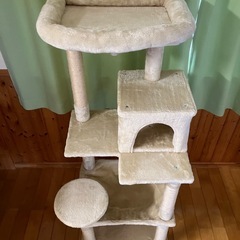 キャットタワー
の画像