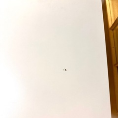 IKEA（イケア）LACK ラック サイドテーブル, ホワイトの画像