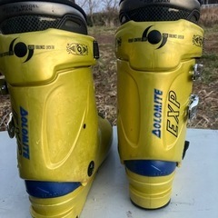 DOLOMITE ST-S スキー靴 イエロー/ブルーの画像