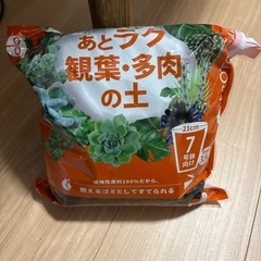 お話中【ガーデニング】観葉植物＋植木鉢＋土セットの画像