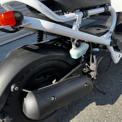 タイヤ新品塗装済✨大人気ズーマー‼️ ホンダ AF58AF58の画像