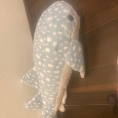 ぬいぐるみの画像