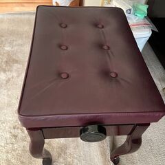 バーンスタインTB220の画像