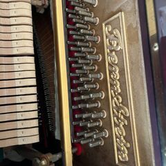 バーンスタインTB220の画像