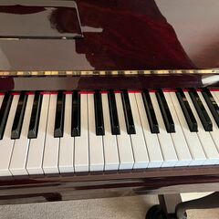 バーンスタインTB220の画像