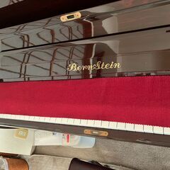 バーンスタインTB220の画像