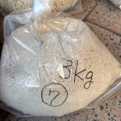 早いもの勝ち。サンゴ砂2種類。海水魚水槽用　1キロあたり200円にて。の画像