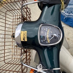 リトルカブの画像