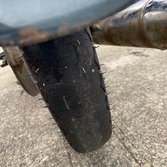 リトルカブの画像