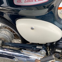 リトルカブの画像