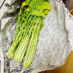 大根の葉　大量！の画像