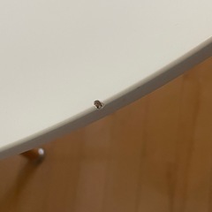 白　丸テーブル　　の画像