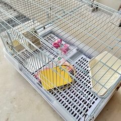 うさぎ飼育セット（三次or福山可）の画像