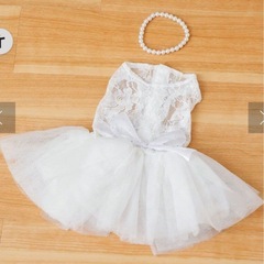 犬ドレス　M〜Lの画像