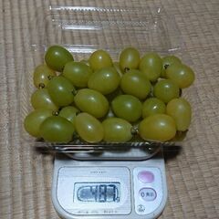 シャインマスカット 粒の画像