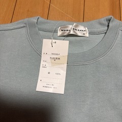 未使用タグ付綺麗な色のトレナー、サイズMの画像