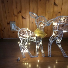 トナカイイルミネーションの画像